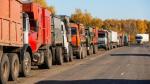 Российский подсолнечник массово скупают маслозаводы Казахстана – Союз полеводов - превью