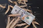 Мировые цены на пшеницу упали на фоне снижения напряженности вокруг Ормузского пролива - превью